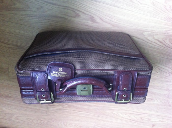 The accessories case